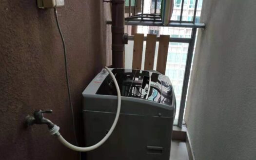 整租·罗湖区城市天地广场 一房一厅 精装房源出租