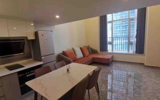 整租·南山区佳兆业前海广场二期 一室一厅 豪华装修