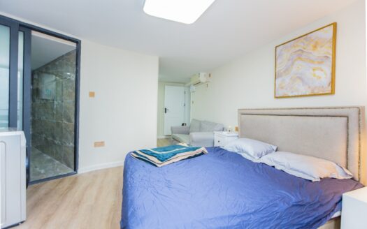 整租·福田上沙君临天下名苑 复式1房1厅