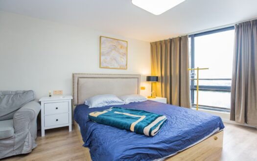 整租·福田上沙君临天下名苑 复式1房1厅