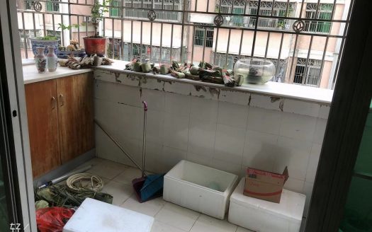 碧海湾花园  东南朝向 采光充足 3房2厅
