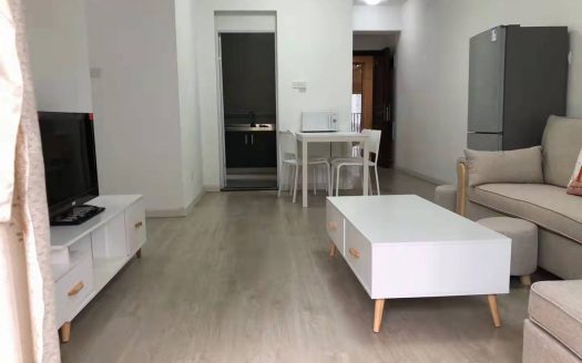 龙华地铁口壹成中心六区四房二厅二位 全齐拎抱入住