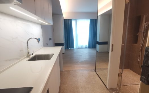 福永国际会展中心 会展湾水岸 一房 免佣直租