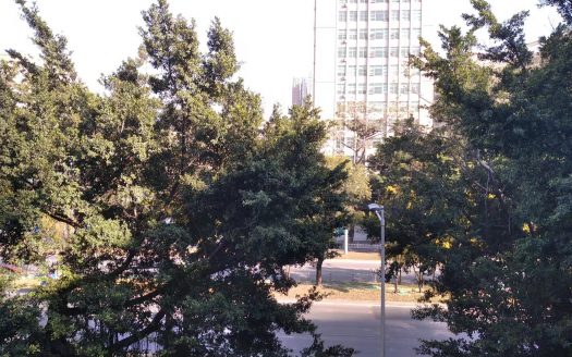 西乡地铁口绿海名苑精装2房1厅60平
