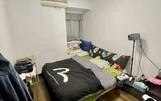宝体地铁站，西城雅筑精装两室，拎包入住