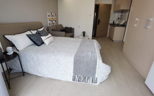 碧海湾地铁站旁,精装修 大单间,拎包入住