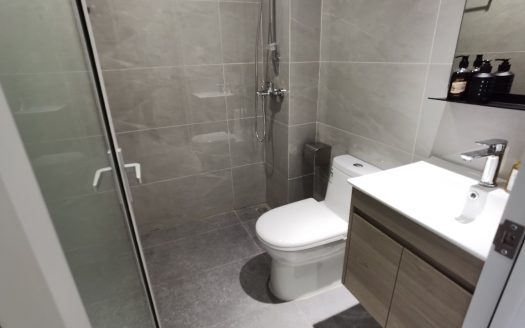 碧海湾地铁站旁,精装修 大单间,拎包入住