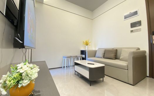 龙华北站地铁口鸿荣源天俊公寓1房1厅全齐精装修