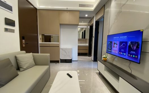 龙华北站地铁口鸿荣源天俊公寓1房1厅全齐精装修
